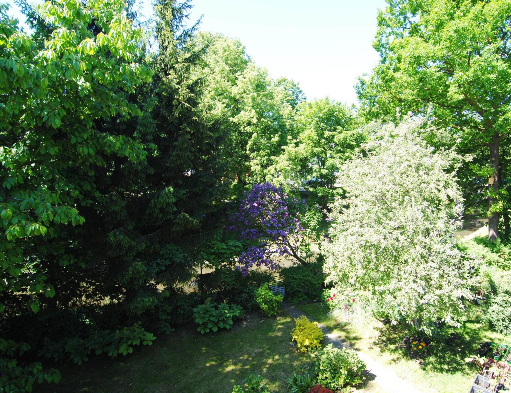 Vila Pri Rouzes Palanga Bilik gambar
